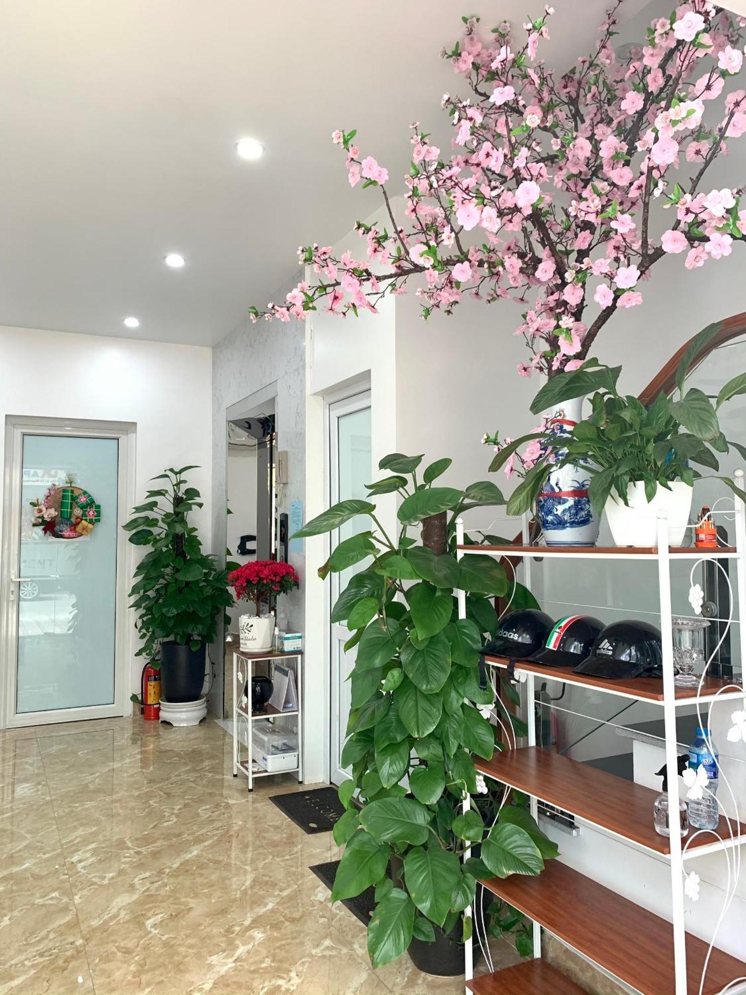 Dk Apartment 1 ハイフォン エクステリア 写真